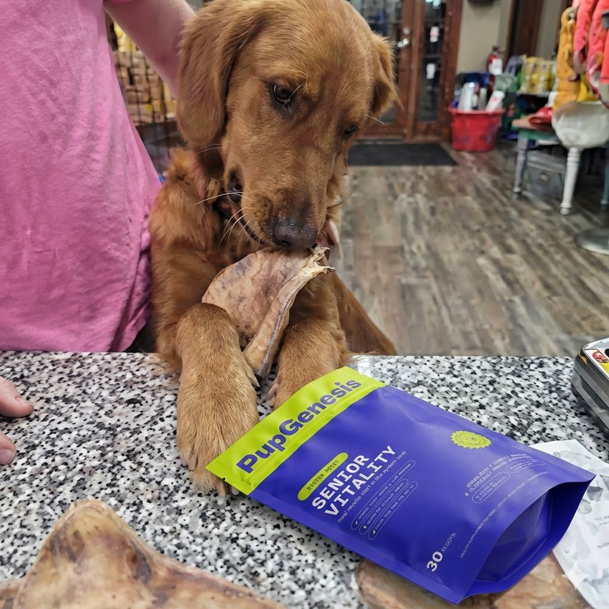 PupGenusis Template 1